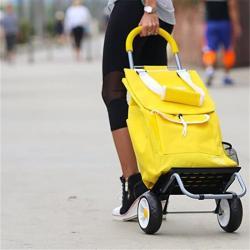 Сумка-тележка складная с колесами пластиковая (арт. 25-5086058)