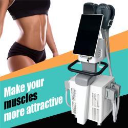 Аппарат для скульптурирования тела EMS с функцией заморозки жира (арт. 25-19081672)