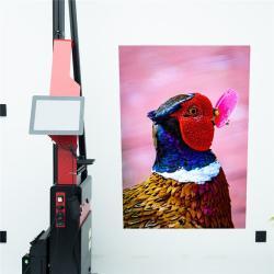 Принтер для стен UV 3D вертикальный CMYK для улицы (арт. 25-19082142)