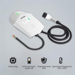 Зарядное устройство для электромобиля Type 1 Cee Wifi 240V 48A (арт. 25-19083037)