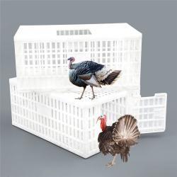 Ящик для перевозки индейки с самозапирающейся дверью (арт. 26-1200013)