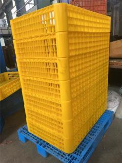 Клетка для птицы пластиковая 116*77*22 см открытая (арт. 26-1200019)