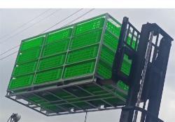 Ящик для транспортировки кур с поддержкой кастомизации (арт. 26-1200023)