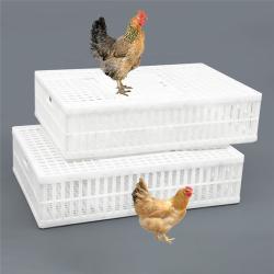 Клетка транспортировочная слайд-дверь ударопрочная для птиц (арт. 26-1200039)