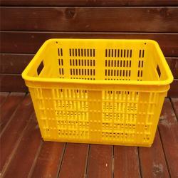 Ящик пластиковый для овощей и фруктов, многоцелевой (арт. 26-1200123)