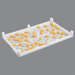 Сушилка пластиковая для фруктов с дренажной функцией (арт. 26-1200141)