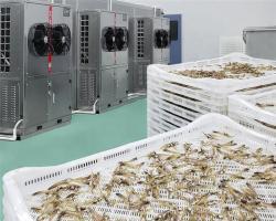 Лоток для сушки с сетчатым отверстием для фруктов и морепродуктов (арт. 26-1200144)