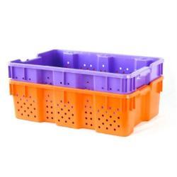 Лоток для ягод пищевой пластик с разделителями (арт. 26-1200157)