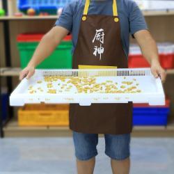 Лоток пластиковый пищевой большой для сушки еды (арт. 26-1200161)