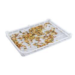 Лоток пластиковый перфорированный для сушки пасты (арт. 26-1200164)