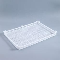 Лоток пластиковый перфорированный для сушки пасты (арт. 26-1200164)