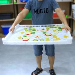 Лоток пластиковый пищевой PP PE для сушки морепродуктов (арт. 26-1200171)