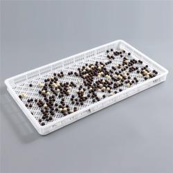 Лоток пластиковый для сушки желатиновых капсул (арт. 26-1200172)