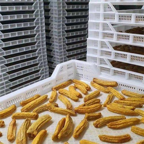 Лоток сушильный пластиковый для фруктов (арт. 26-1200200)