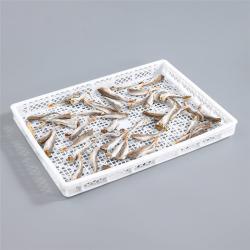 Лоток для дегидрации пластиковый (арт. 26-1200202)