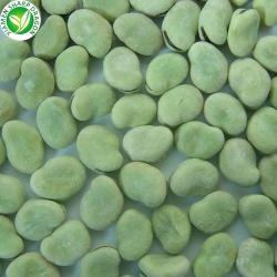 Фасоль замороженная целая зеленая 10кг для приготовления (арт. 26-1302037)