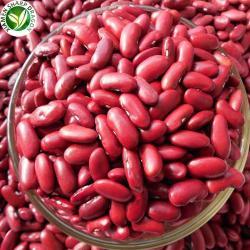 Фасоль красная замороженная XMSD IQF 10кг (арт. 26-1302039)