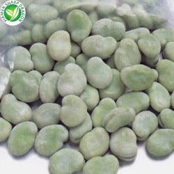 Фасоль замороженная очищенная без ГМО IQF (арт. 26-1302041)