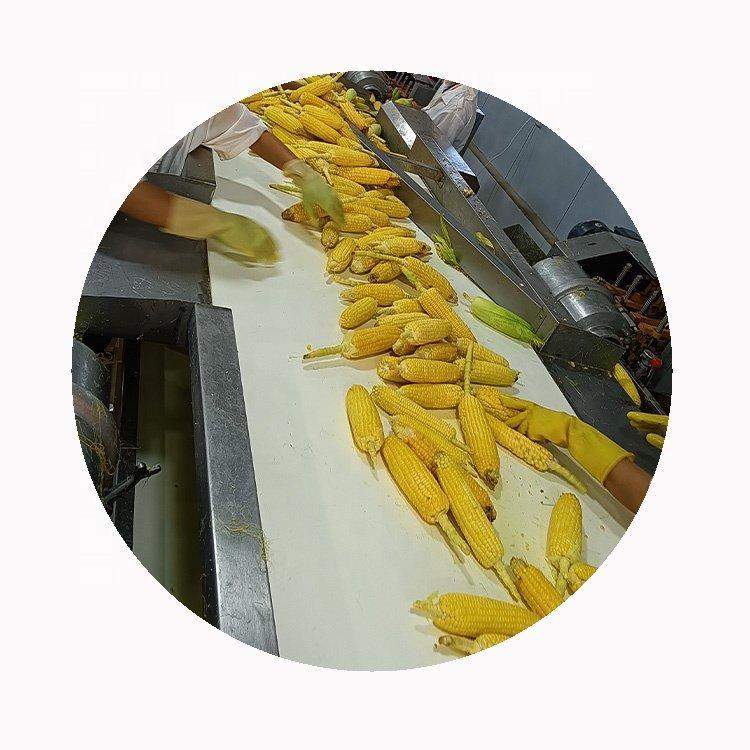 Кукуруза замороженная сладкая iqf для приготовления (арт. 26-1302049)