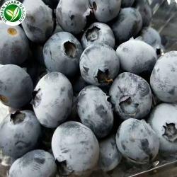 Черника замороженная дикая несладкая для заморозки (арт. 26-1302067)