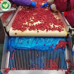 Смесь ягод замороженная органическая с клубникой и малиной (арт. 26-1302068)