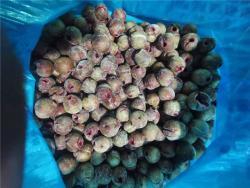 Сливы замороженные половинками кисло-сладкие китайские (арт. 26-1302072)