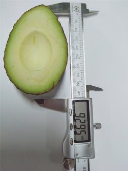 Авокадо замороженное фруктовое пюре для экспорта (арт. 26-1302080)