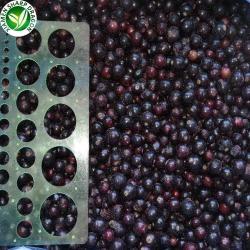 Ягоды замороженные органические черная и красная смородина (арт. 26-1302092)