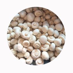 Грибы шампиньоны белые замороженные IQF приправленные (арт. 26-1302102)