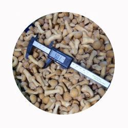Грибы замороженные nameko IQF для кухни (арт. 26-1302104)