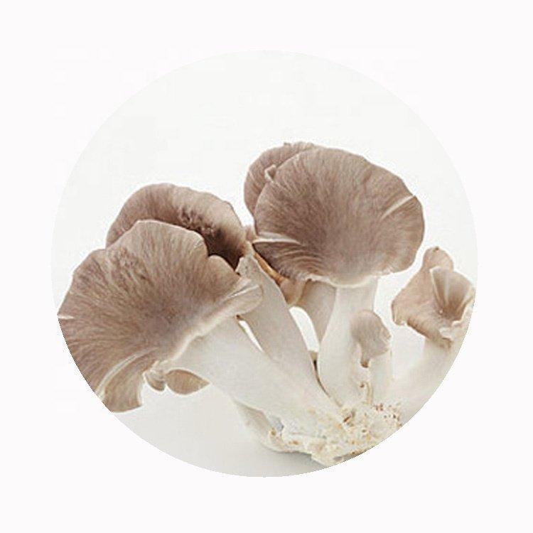 Грибы вешенки замороженные серые 1кг для приготовления (арт. 26-1302107)