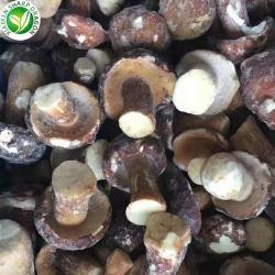 Грибы замороженные белые и маслята IQF 12 тонн (арт. 26-1302128)