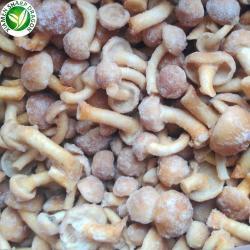 Грибы намеко замороженные для экспорта (арт. 26-1302132)