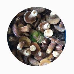 Грибы замороженные белые целые для кулинарии (арт. 26-1302133)