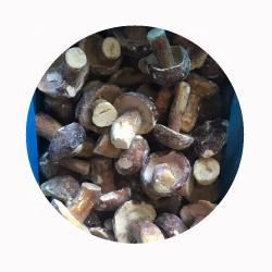 Грибы замороженные IQF белые для кулинарии (арт. 26-1302142)