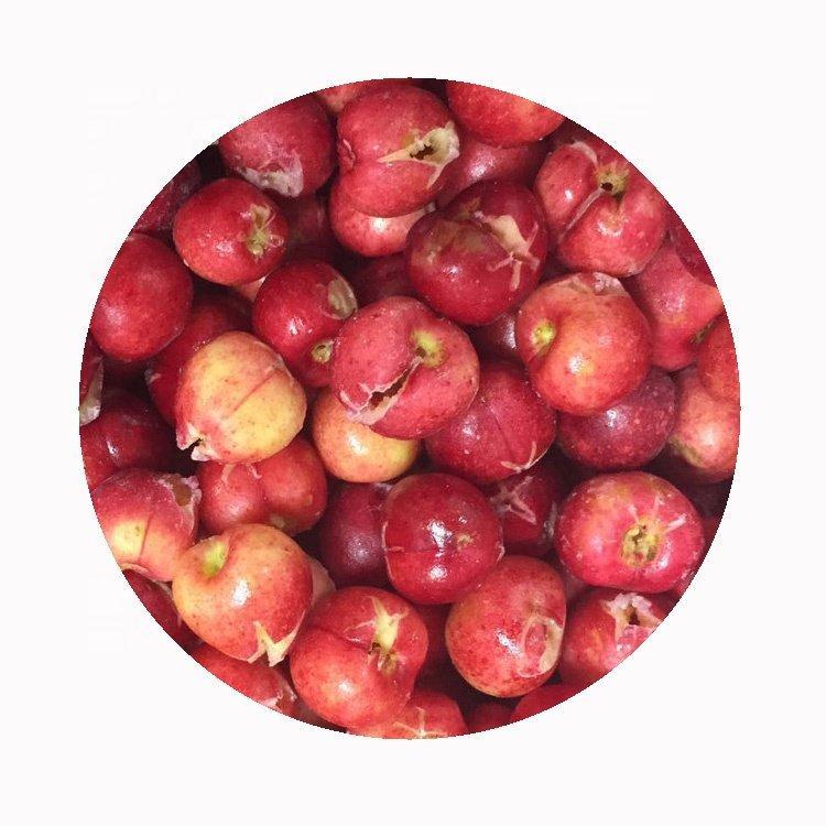 Вишня замороженная органическая без косточек темно-красная (арт. 26-1302147)