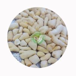 Имбирь замороженный очищенный кубиками и чеснок (арт. 26-1302157)