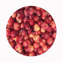 Замороженные вишни без косточек для выпечки и напитков (арт. 26-1302182)