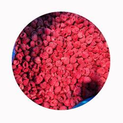 Малина сублимированная натуральная хрустящая для шоколада (арт. 26-1302212)
