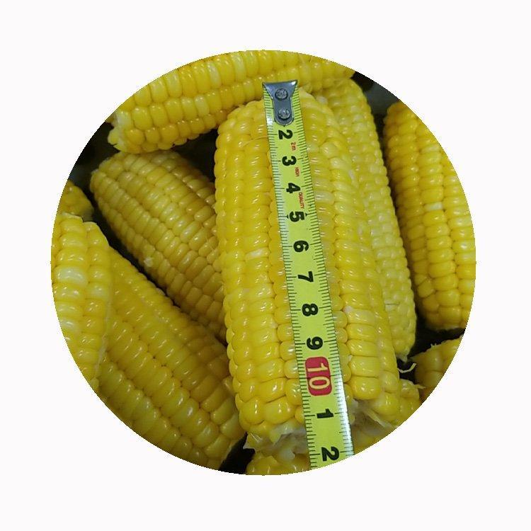 Снэки кукурузные вакуумные без ГМО для быстрого употребления (арт. 26-1302249)