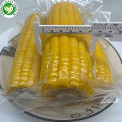 Кукуруза в початках вакуумная для быстрого употребления (арт. 26-1302250)