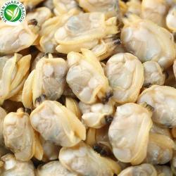 Мясо моллюска вареное замороженное IQF для кулинарии (арт. 26-1302267)