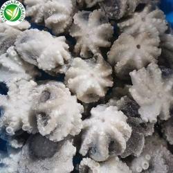 Замороженный осьминог IQF 10кг для экспорта (арт. 26-1302268)