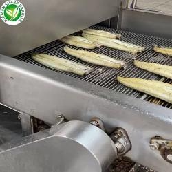 Угорь копченый замороженный свежий для гурманов (арт. 26-1302277)