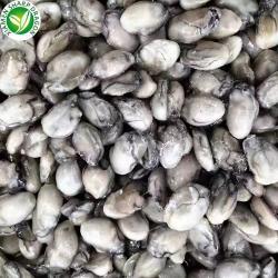 Мясо устриц замороженное IQF новое сезонное (арт. 26-1302278)