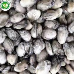 Мясо устриц замороженное IQF новое сезонное (арт. 26-1302278)