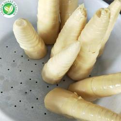 Консервированные побеги бамбука целые 2 года хранения (арт. 26-1302306)