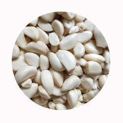 Чеснок очищенный замороженный кубиками для кулинарии (арт. 26-1302324)