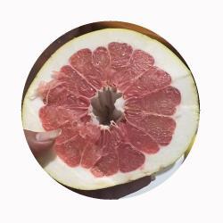 Помело свежий медовый контейнерный (арт. 26-1302330)