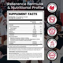 Порошок BCAA с электролитами 3:1:1 без сахара (арт. 26-1002037)